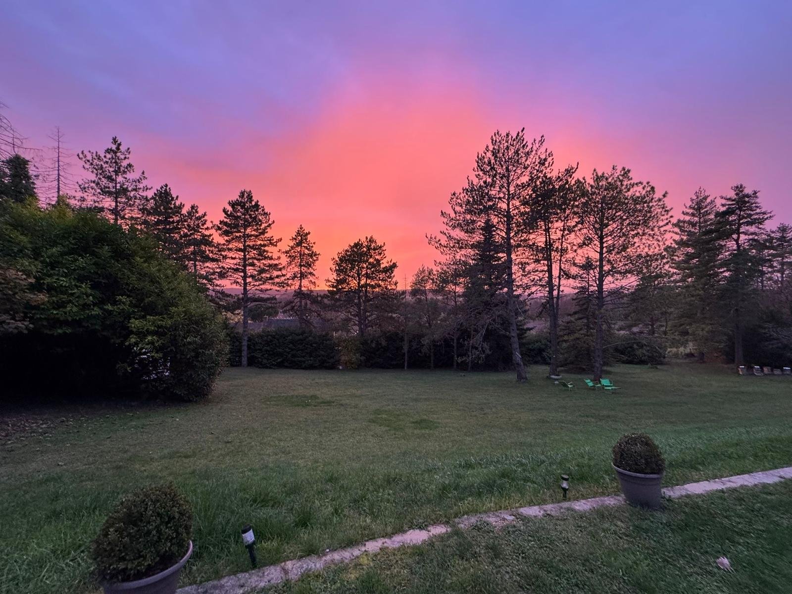 The Forest at the Domaine de Montaubois